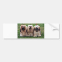 Trio Lhasas Apso Autosticker