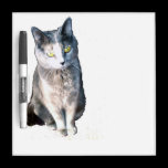 Trockenes Löschen-Brett der Katzen-11 memoboards