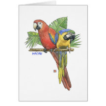 Tropische Macaws-Anmerkungs-Karte