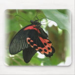 Tropische Schmetterlings-Mausunterlage Mauspads