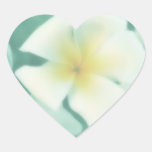 Tropische weiße Plumeria-Blume Herzaufkleber