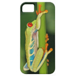 Tropischer grüner Baum-Frosch iPhone 5 Hüllen