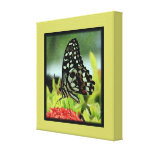 Tropischer Schmetterling eingewickelte Leinwand Leinwand Drucke