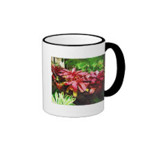 tropisches bromeliad, tropischer Garten Fairchild, Kaffeetassen