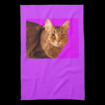 Tuch der Katzen-14 geschirrtücher