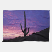 Tuch Sonoran Wüste Küchenhandtuch
