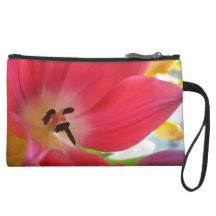 Tulpe