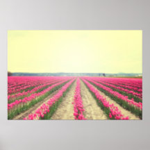 Tulpe-Feld-Leinwand-Druck Posterdrucke