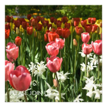 Tulpe-Garten DSC0855 Personalisierte Einladungen
