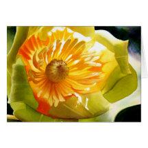 "Tulpe-Pappel-" Gelb-BlumeWatercolor Karte