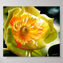 "Tulpe-Pappel-" Gelb-Blumewatercolor-Plakat
