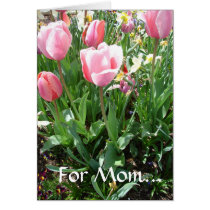 Tulpen für Mamma karten