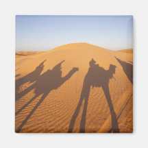 Tunesien, Ksour Bereich, Ksar Ghilane, großartiges Magnete