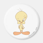 Tweety verärgert magnete