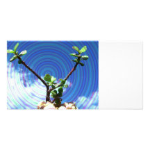 Two branches plant with spiral.jpg personalized photo card