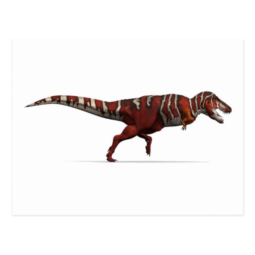 Tyrannosaurus rex in Rotem, im Weiß und im Schwarz Postkarten