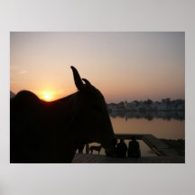 Udaipur Sonnenuntergang Posterdruck