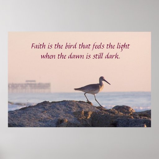 Ufer-Vogel-Morgen-inspirierend Plakat