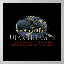 ularhitamlogo Boelens Pythonschlangehemd Plakatdruck