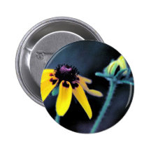 Umklammern-Blatt Coneflower Button