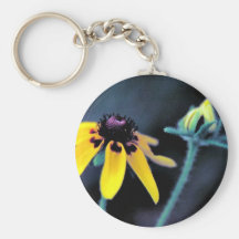 Umklammern-Blatt Coneflower Schlüsselband