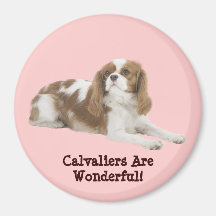 Unbekümmerter Königcharles Spaniel-Magnet Kühlschrankmagnete