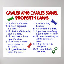 UNBEKÜMMERTER KÖNIGcharles SPANIEL PL2 Plakatdrucke