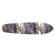 unbestimmt skate board