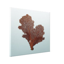 Undersea Red Sea Fan Vintage Wrapped Canvas Stretched Canvas Print