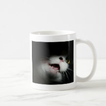 Unhöfliche Katzen-Gewohnheit und Redewendungen Kaffeetassen