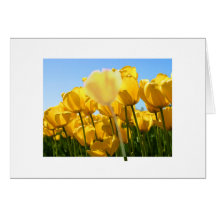 Unschärfe-Tulpe Karten