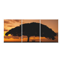 Unter dem Monkeypod Baum Leinwanddrucke