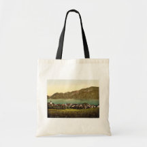 Unterach, I., Oberösterreich, Austro-Ungarn selten Tasche