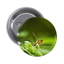 Unterseiten oben! button