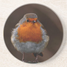 Untersetzer Robins Redbreast