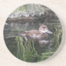 Untersetzer - Wildnis-Ente