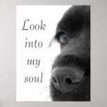 Untersuchen Sie mein Soul Posterdrucke