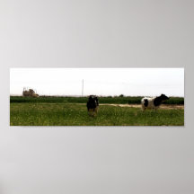 Unvereinbarkeit Poster