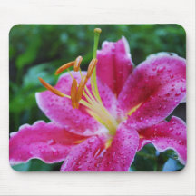 Üppige Lilie Mousepad