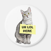 UR LOL HIER MAGNETE