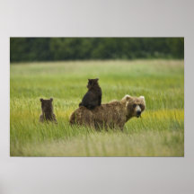 USA, Alaska, See Nationalpark Clarks. A Posterdruck