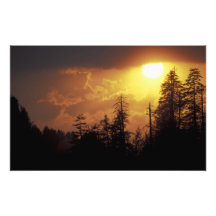 USA, Tennessee, Great Smoky Mountains NP. 2 Photo Druck