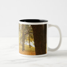 USA, Washington, Spokane, Manito Park, Herbst 2 Kaffee Haferl
