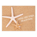 USDA zugelassener Strand-Gammler Postkarte