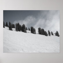 VAil Poster