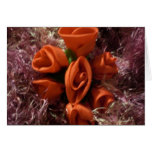 VALENTINES-ROSEN KARTE
