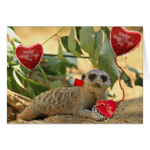 Valentinsgruß Meerkat Grußkarten