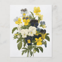 Veilchen-und Pansy-Blumen-botanische Kunst Flyers