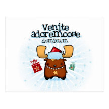 Venite Adoremoose Postkarten