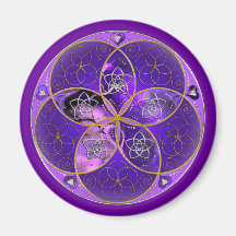 Venus-Blume des violetten Rosas der Liebe-schönen  Magnets